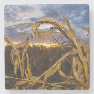 Ozarks Harvest Stenen Onderzetter