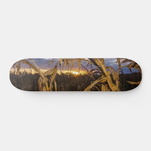Ozarks Oogst Skateboard (Horizontaal)