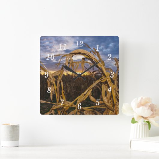 Ozarks Oogst Wandklok (Huis)