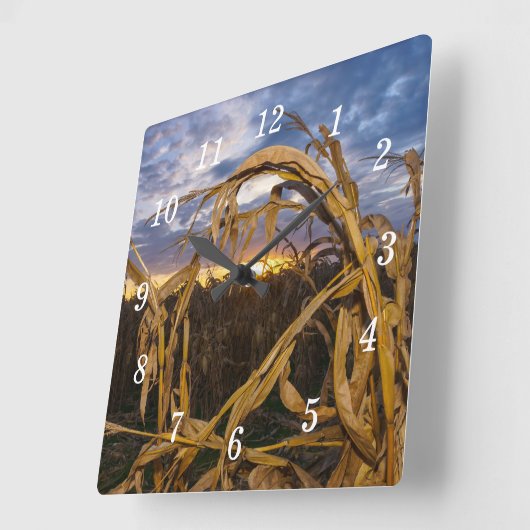 Ozarks Oogst Wandklok (Hoek)