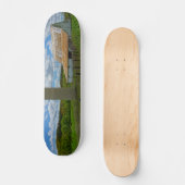 Ozarks Oude Schuur en Silo Skateboard (Voorkant)