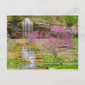 Ozarks Waterfall Spring Bluff Briefkaart (Voorkant)