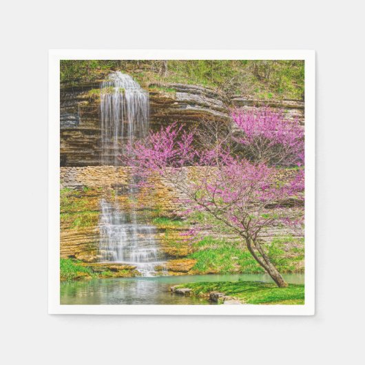 Ozarks Waterfall Spring Bluff Servet (Voorkant)