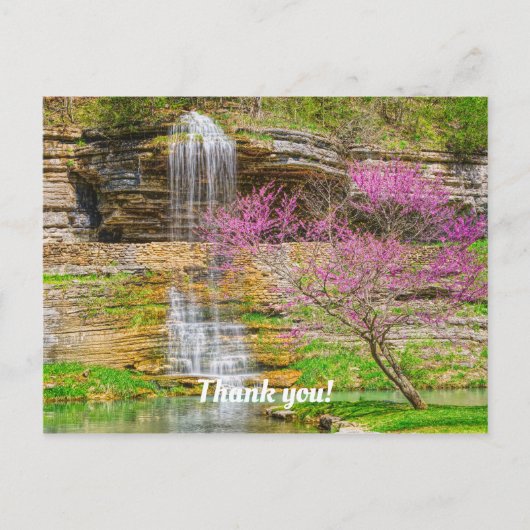 Ozarks Waterval Spring Bluff Briefkaart (Voorkant)