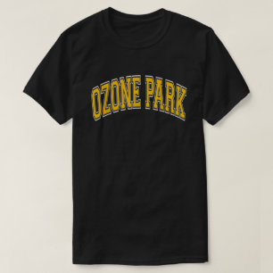 Ozone Park Ny Queens Varsity Style Amber Text  T-shirt