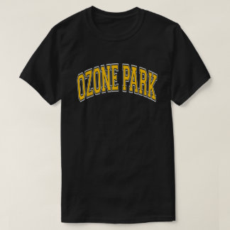 Ozone Park Ny Queens Varsity Style Amber Text  T-shirt