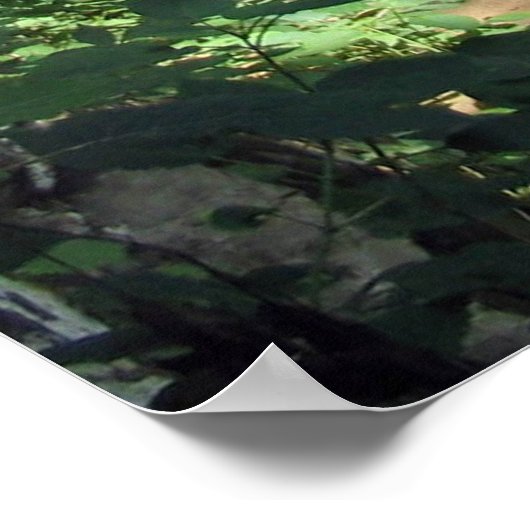 OzonHerfsten Poster (Hoek)