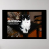 ozymandias poster (Voorkant)