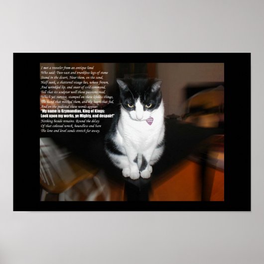 ozymandias poster (Voorkant)