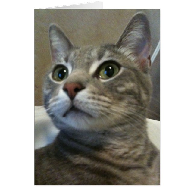 Ozzy Card 1 (Voorkant)