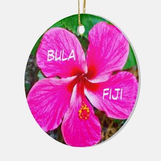 P0000104_lzn, bula, fiji keramisch ornament (Links)