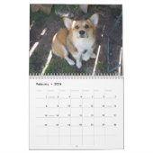 P1010036, Corgi Love Calendar Kalender (Feb 2026)