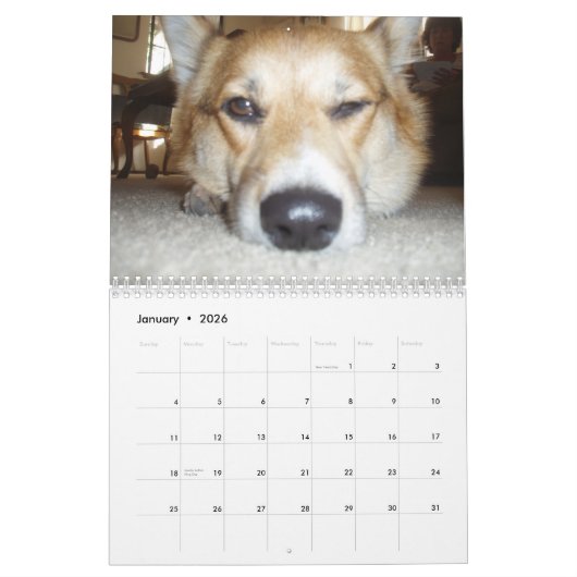 P1010036, Corgi Love Calendar Kalender (Jan 2026)