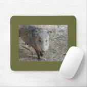 P1010073 Javelina mousepad Muismat (Met muis)