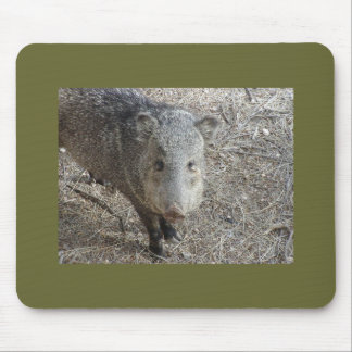 P1010073 Javelina mousepad Muismat