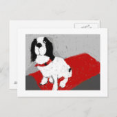 P1020412 BRIEFKAART (Voorkant / Achterkant)