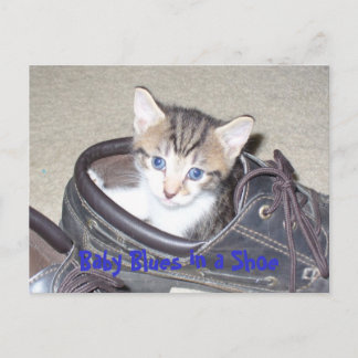 P1020640_153_153, Baby Blues in a Shoe Briefkaart