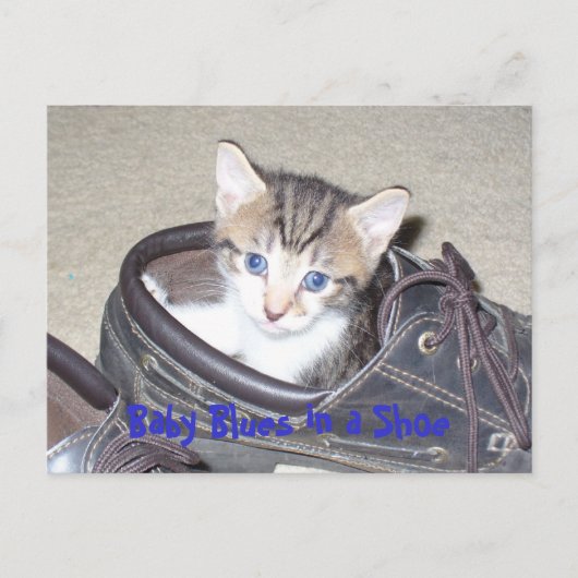 P1020640_153_153, Baby Blues in a Shoe Briefkaart (Voorkant)