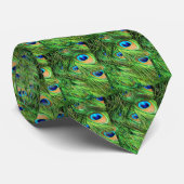 P1070167 Peacock Feathers Up Close 300, P10701.. Stropdas (Opgerold)