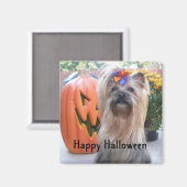 P1080884, gelukkig Halloween Magneet (Voorkant / Achterkant)