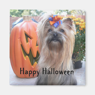 P1080884, gelukkig Halloween Magneet