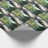 P1090842.JPG CADEAUPAPIER (Hoek)