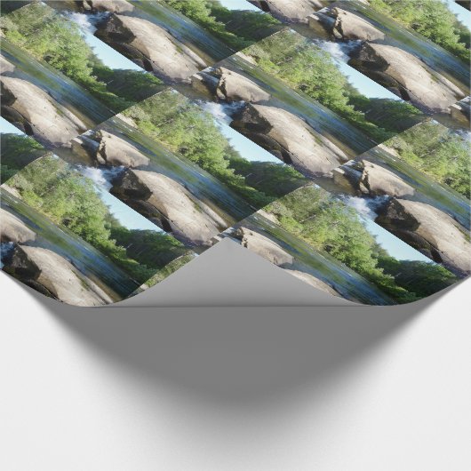 P1090842.JPG CADEAUPAPIER (Hoek)