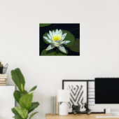 P1100646.RAW, "WHITE LOTUS BLOSSOM" POSTER (Thuiskantoor)