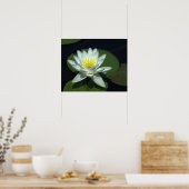 P1100646.RAW, "WHITE LOTUS BLOSSOM" POSTER (Keuken)