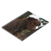 P1 Flatlandersam Natte Hond Notitieboek (Linkerzijde)