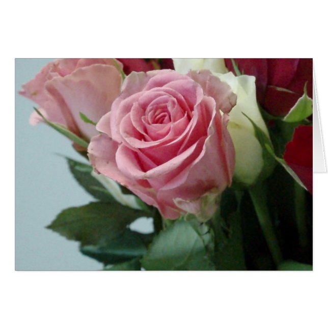 P2130014 (Voorkant Horizontaal)