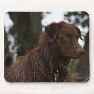 P2 Rode Hond Sam Flatlandersam Muismat
