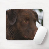 P2a Red Dog Sam Flatlandersam Van dichtbij Muismat (Met muis)