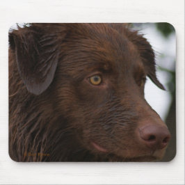 P2a Red Dog Sam Flatlandersam Van dichtbij Muismat