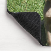 P3091298, Love is a long-haring Weimaraner Muismat (Hoek)