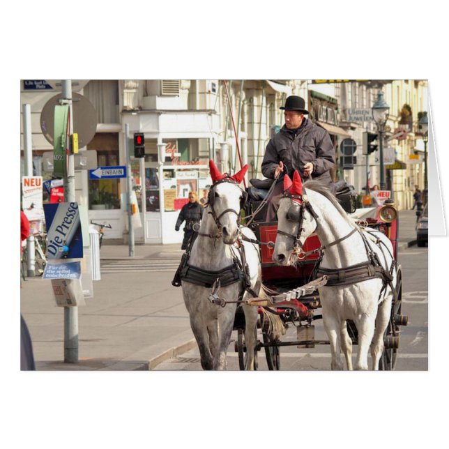 P3171014 (Voorkant Horizontaal)