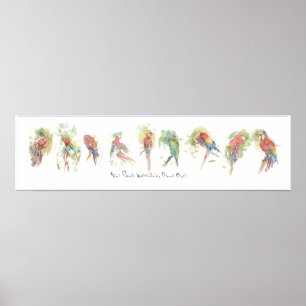 P3, Nine Parrots, Waterverf door Dennis Boyce Poster