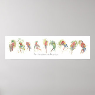 P3, Nine Parrots, Waterverf door Dennis Boyce Poster