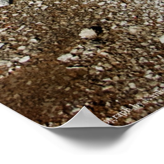 #P4078 Afdruk Poster (Hoek)