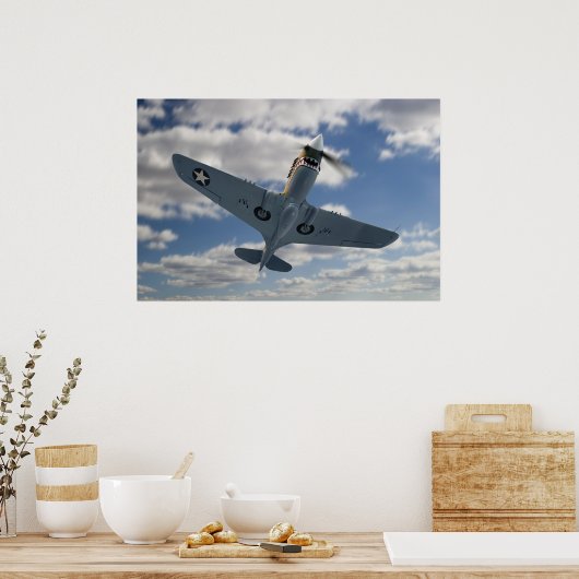 P40 Composiet Poster (Keuken)