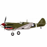 P40 Warhawk Staand Fotobeeldje<br><div class="desc">P40 Warhawk Fighter</div>