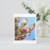 P4240442 BRIEFKAART (Staand voorkant)