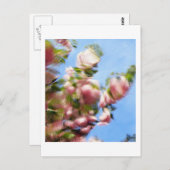 P4240442 BRIEFKAART (Voorkant / Achterkant)