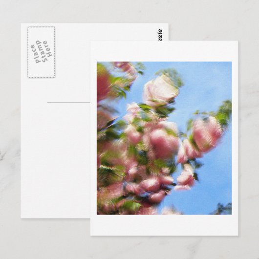 P4240442 BRIEFKAART (Voorkant / Achterkant)