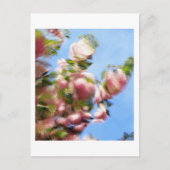 P4240442 BRIEFKAART (Voorkant)