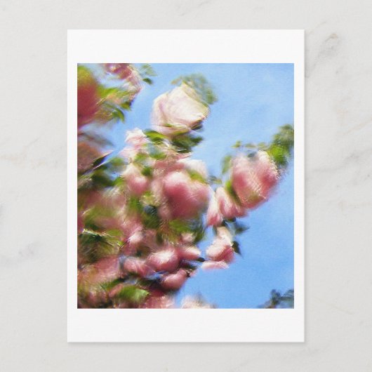 P4240442 BRIEFKAART (Voorkant)