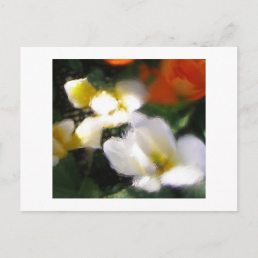 P4290105 BRIEFKAART (Voorkant)