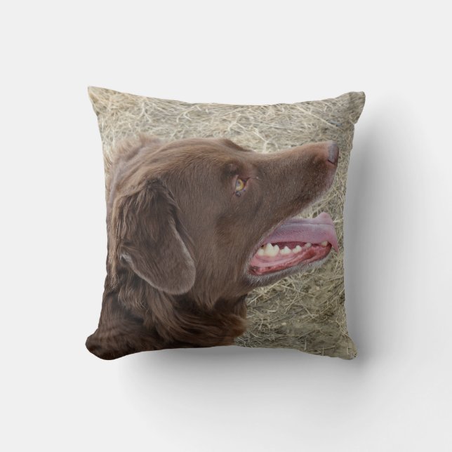 P4 Flatlandersam profiel Kussen (Voorkant)