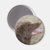 P4 Flatlandersam profiel Magneet (Voorkant / Achterkant)