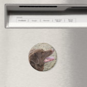 P4 Flatlandersam profiel Magneet (Insitu (Vaatwasser))